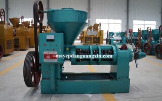 Làm thế nào để chọn được máy ép dầu guangxin chính hãng giá tốt?