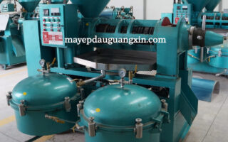Đầu tư máy ép dầu Guangxin kinh doanh có phải là sai lầm?