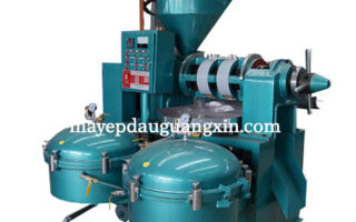 Ưu nhược điểm của dòng máy ép dầu lạc guangxin?