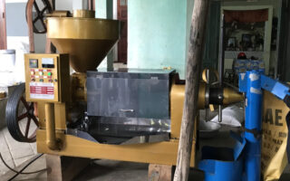 “Vỡ nợ” vì mua phải máy ép dầu công nghiệp guangxin rởm