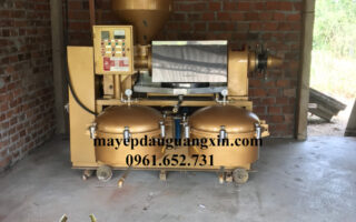 Máy ép dầu gấc guangxin mua ở đâu chính hãng?
