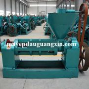 may-ep-dau-guang-xin-120wk